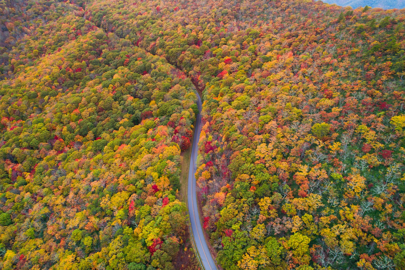 Blue Ridge Parkway