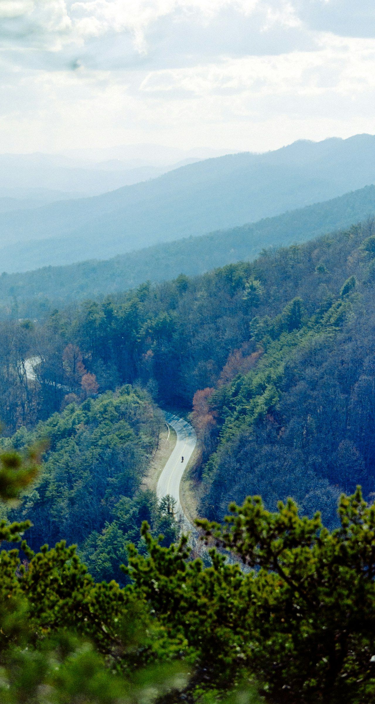 Cherohala ridge before the crowds.