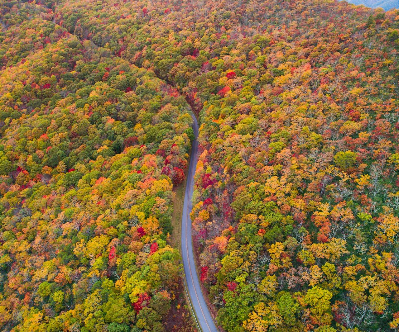 Parkway overlook, golden hour.